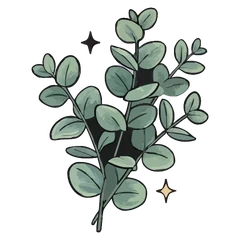 Eucalyptus